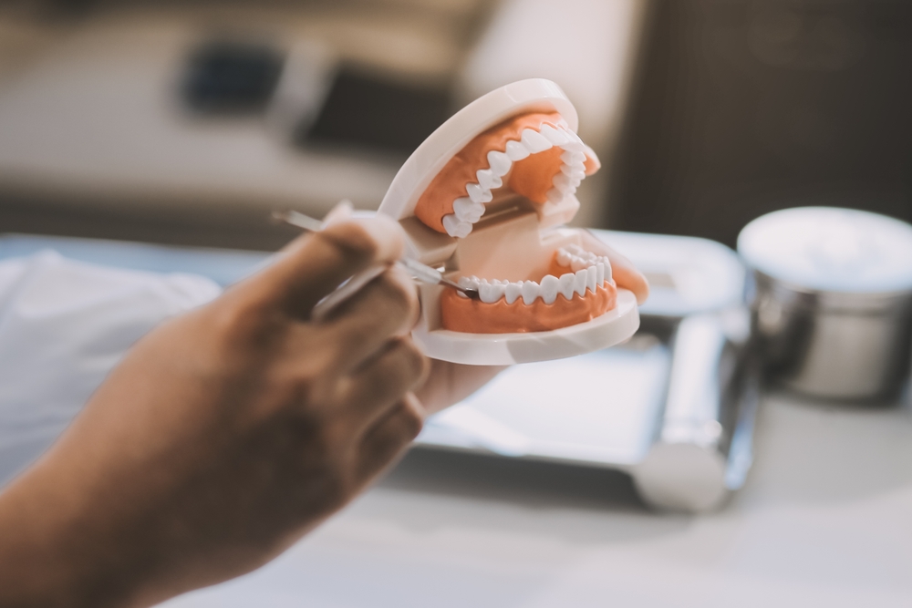 dental patient holding a teeth model - Dentures in Cumming